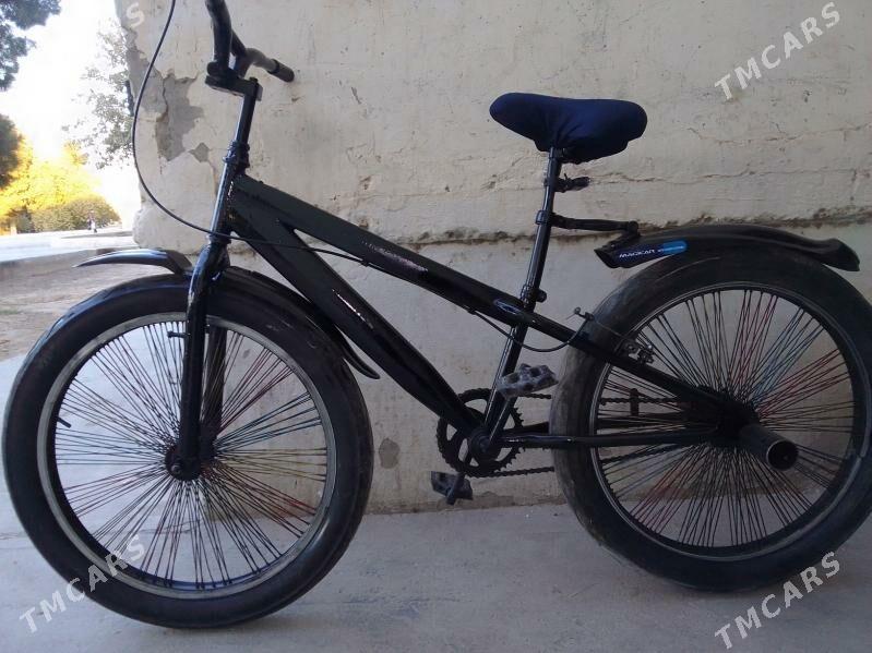 Tigir - 11 mkr - img 1