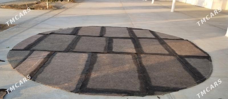 Keçe görnüş kän - Ак-Бугдайский этрап - img 3