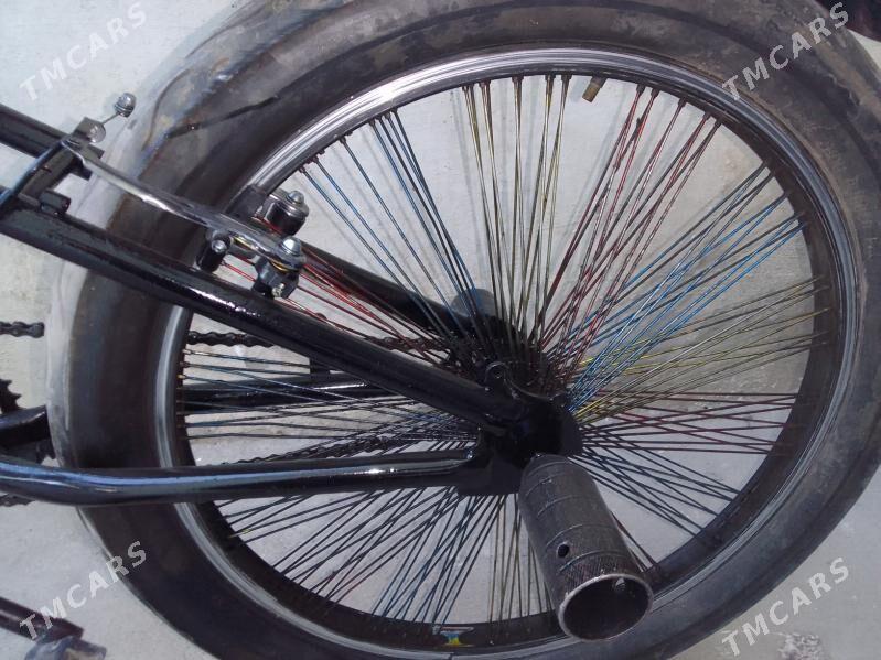 Tigir - 11 mkr - img 4