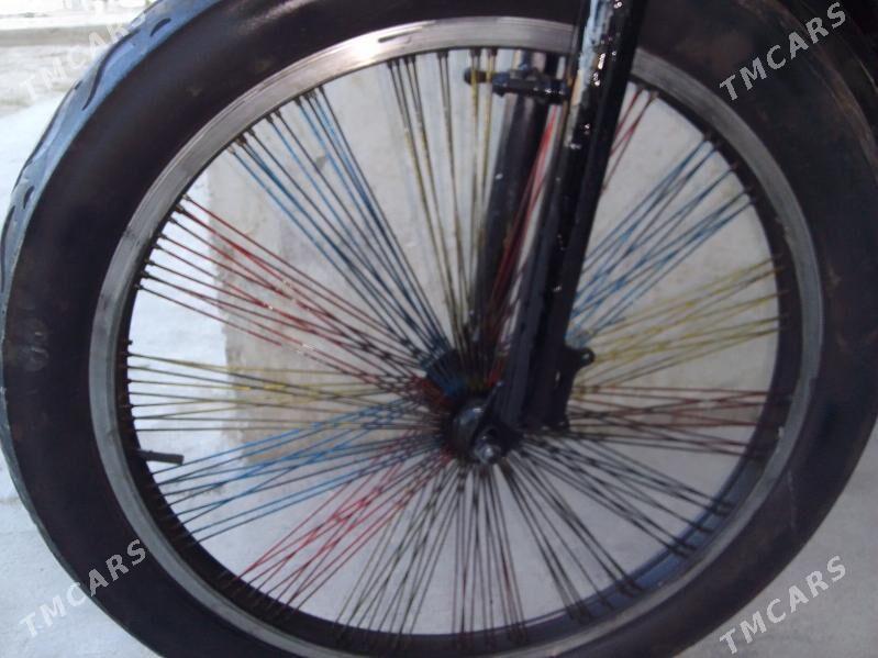 Tigir - 11 mkr - img 5