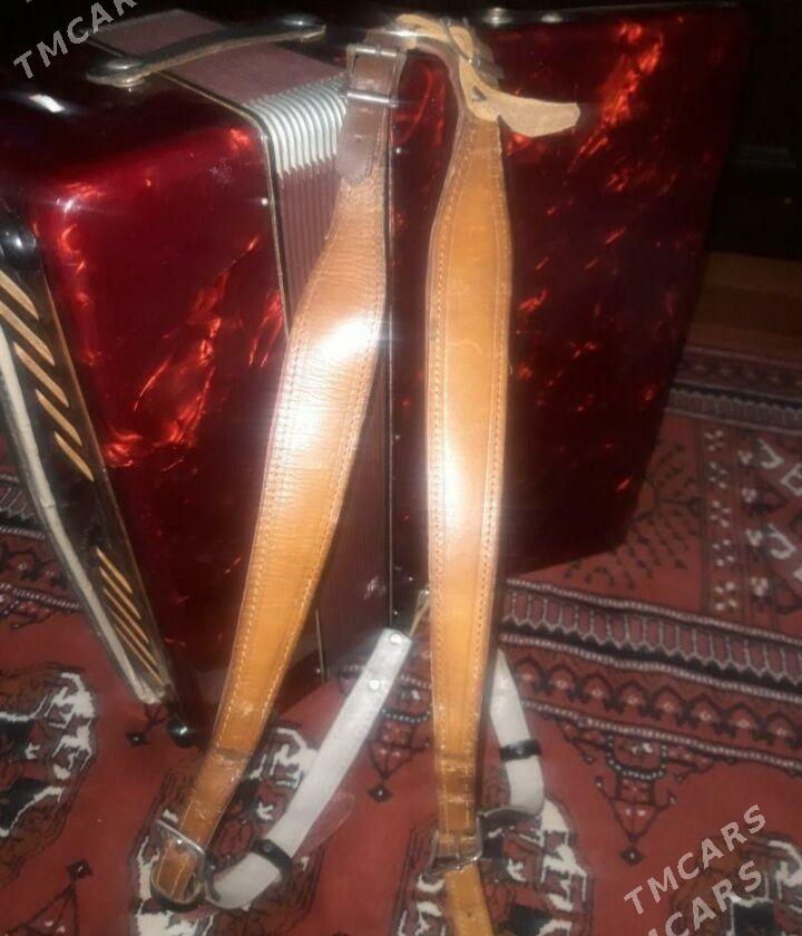 akkordeon аккордеон - Балканабат - img 5