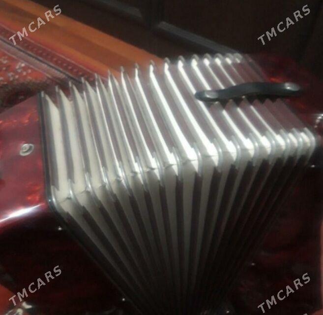 akkordeon аккордеон - Балканабат - img 4