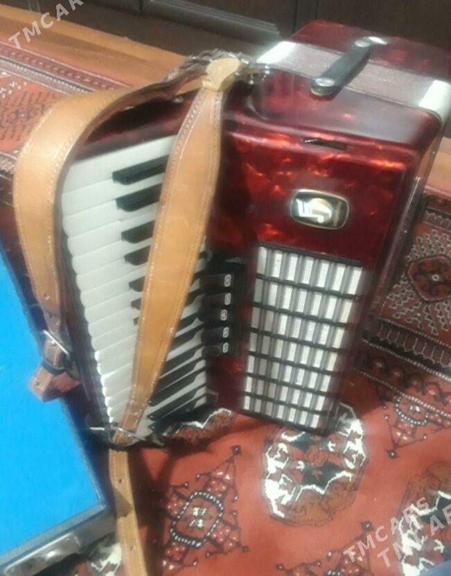 akkordeon аккордеон - Балканабат - img 3