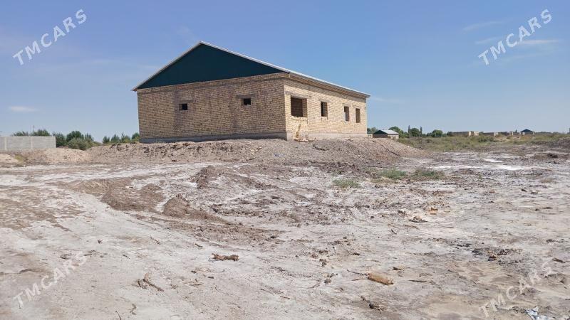 satlyk jay - Köneürgenç - img 2