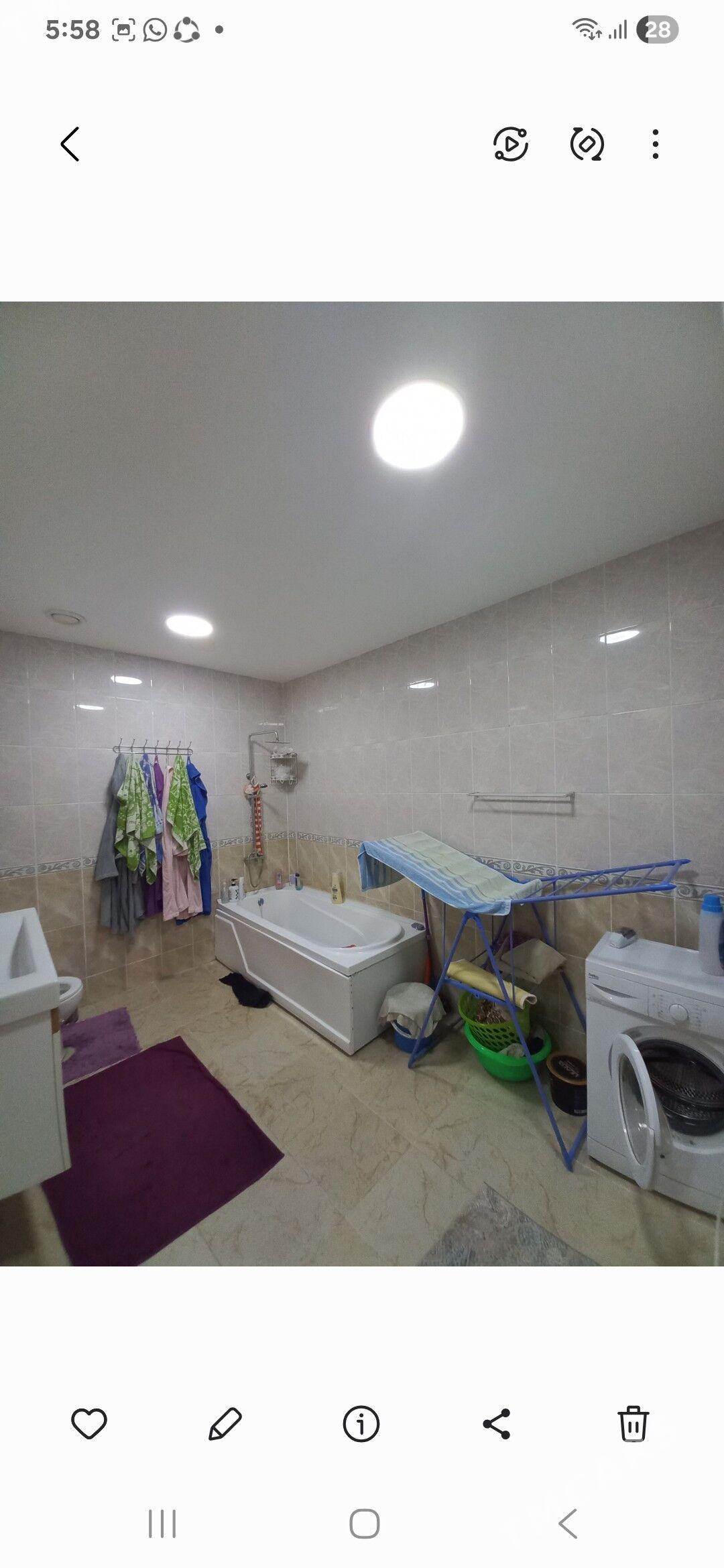 gurtly satlyk jay - Gurtly - img 4