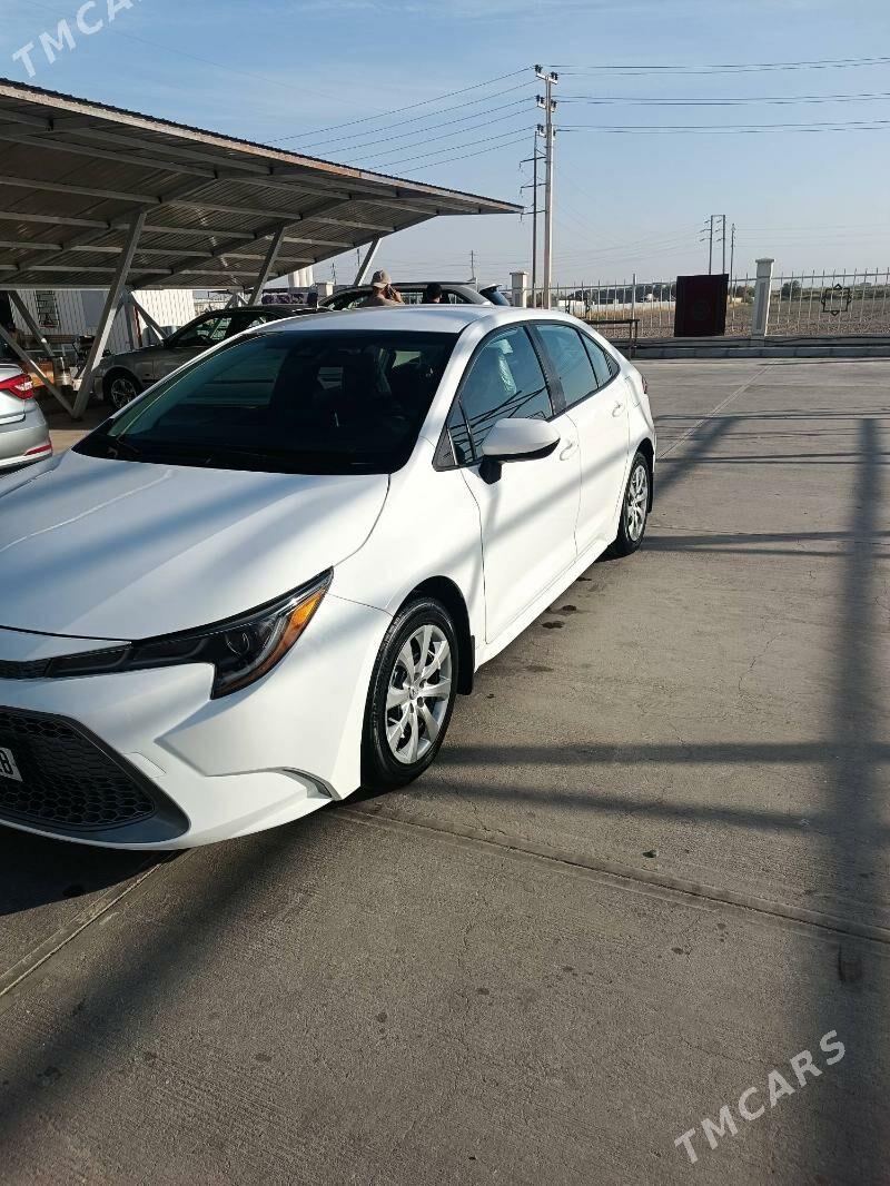 Toyota Corolla 2020 - 240 000 TMT - Türkmenabat - img 2