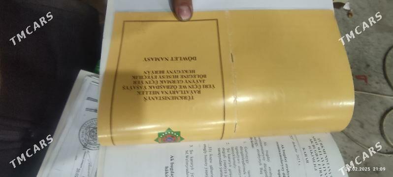 ANEW DEMIR YOL ANYR TARAP 125K - Ak bugdaý etraby - img 10