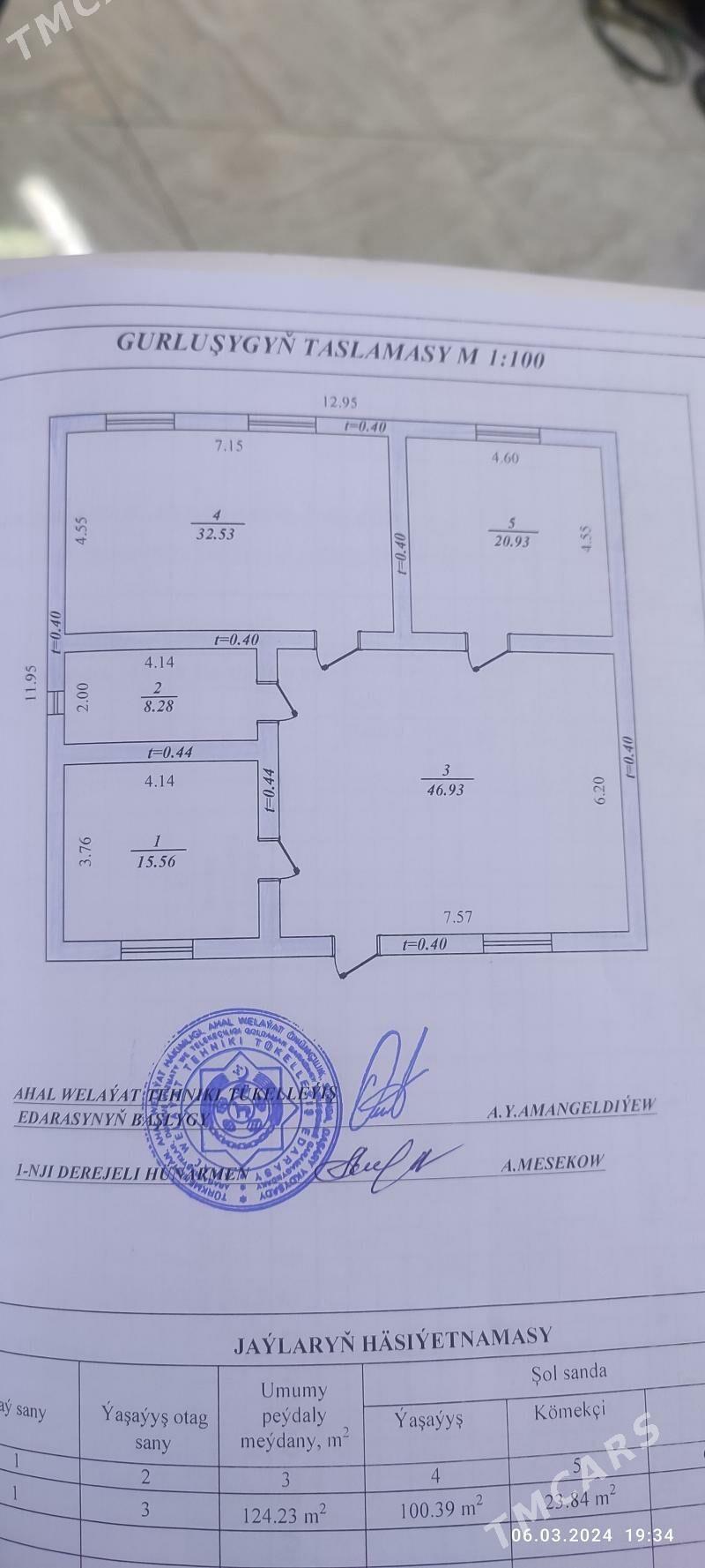 ANEW DEMIR YOL ANYR TARAP 125K - Ak bugdaý etraby - img 8