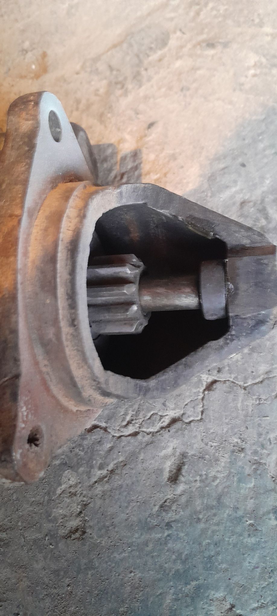 Mtz 900 TMT - Bäherden - img 2