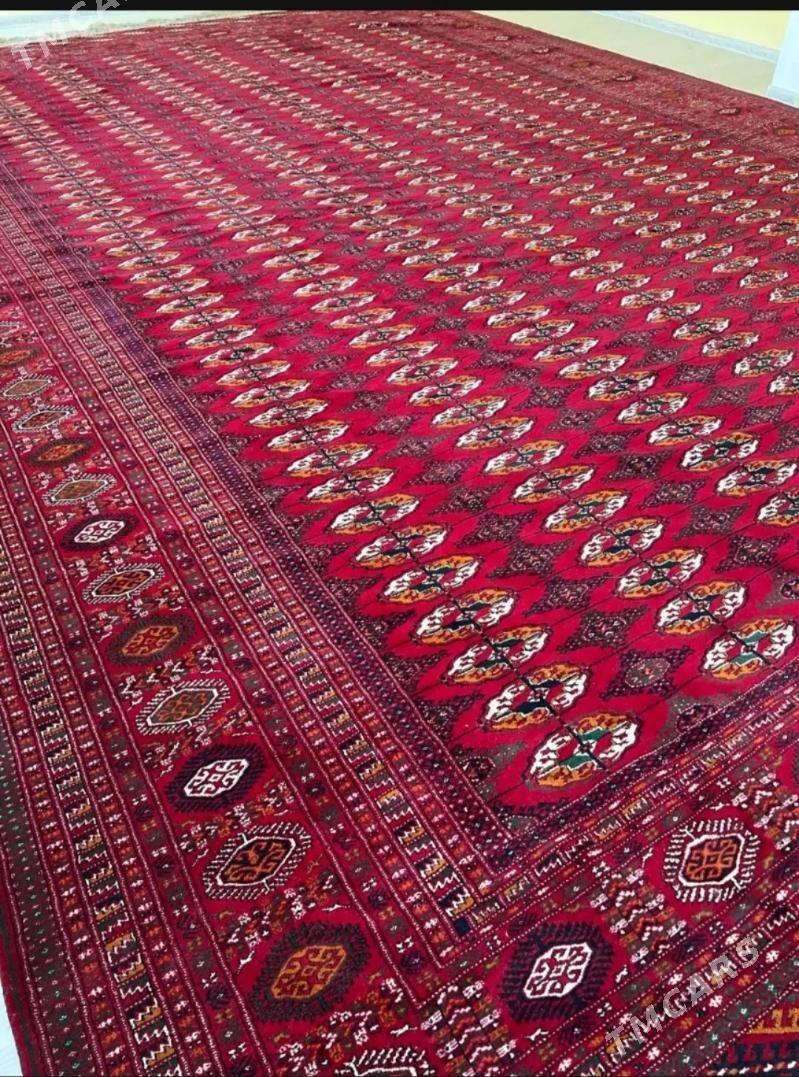 el hali - Ялкым - img 1