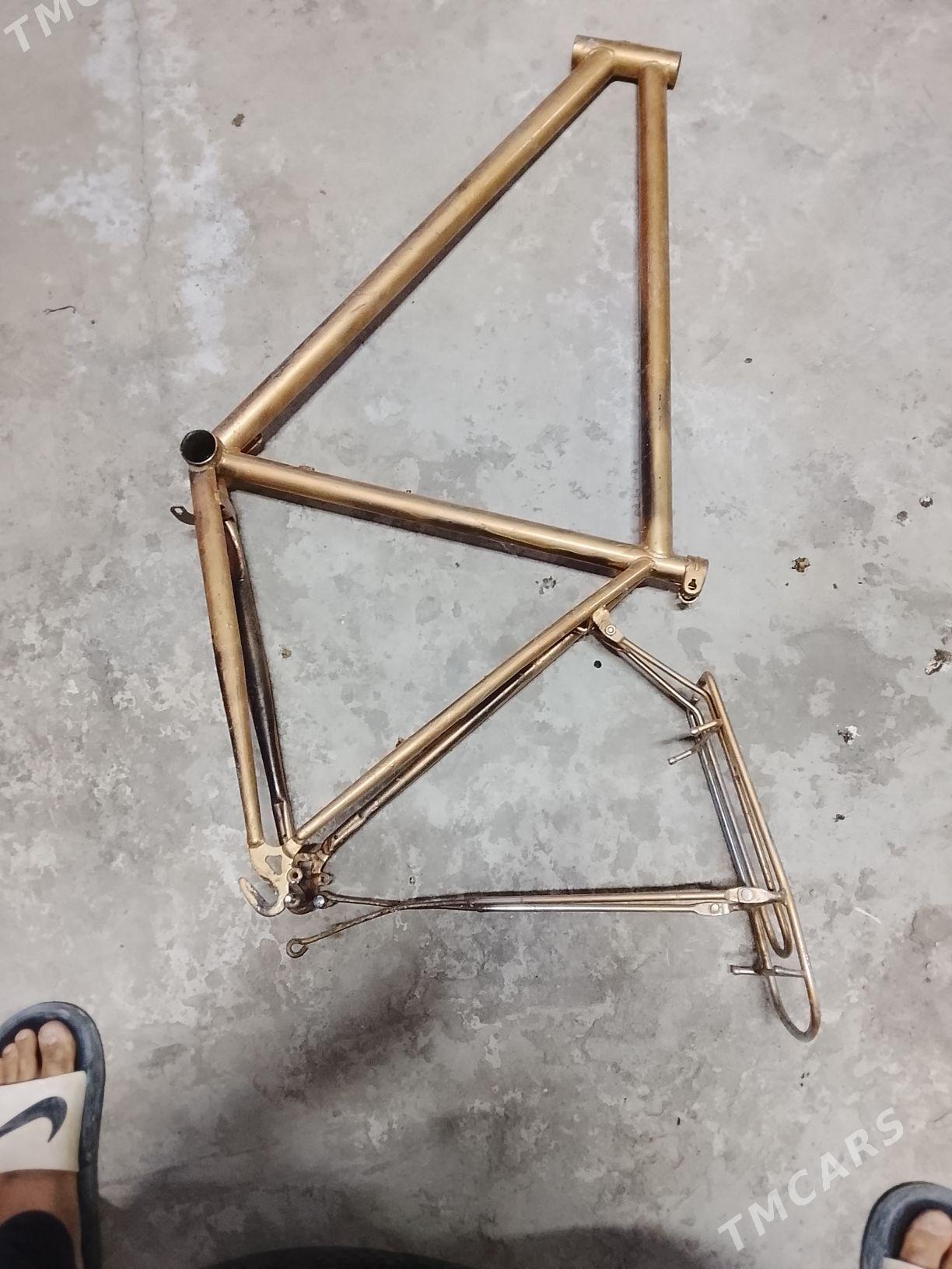 tigir - Bäherden - img 1