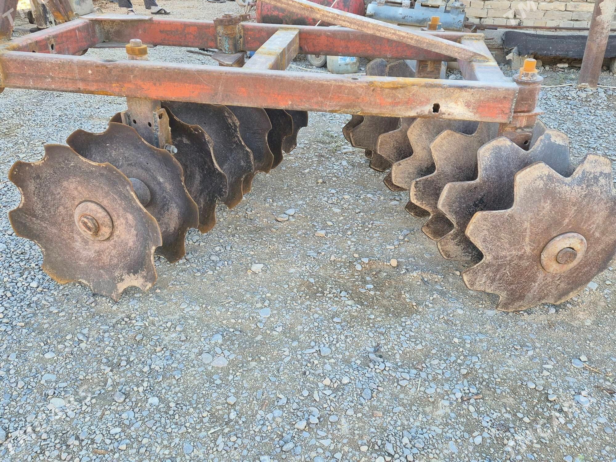 Diska barana - Kaka - img 1