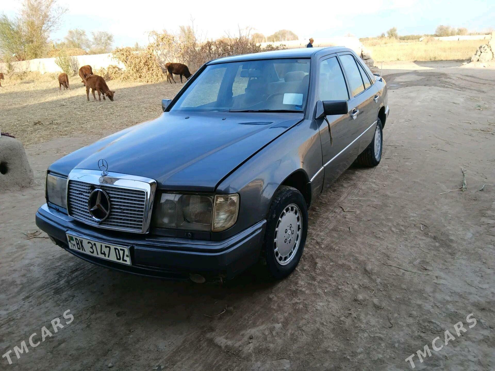 Mercedes-Benz 230E 1993 - 40 000 TMT - Akdepe - img 2