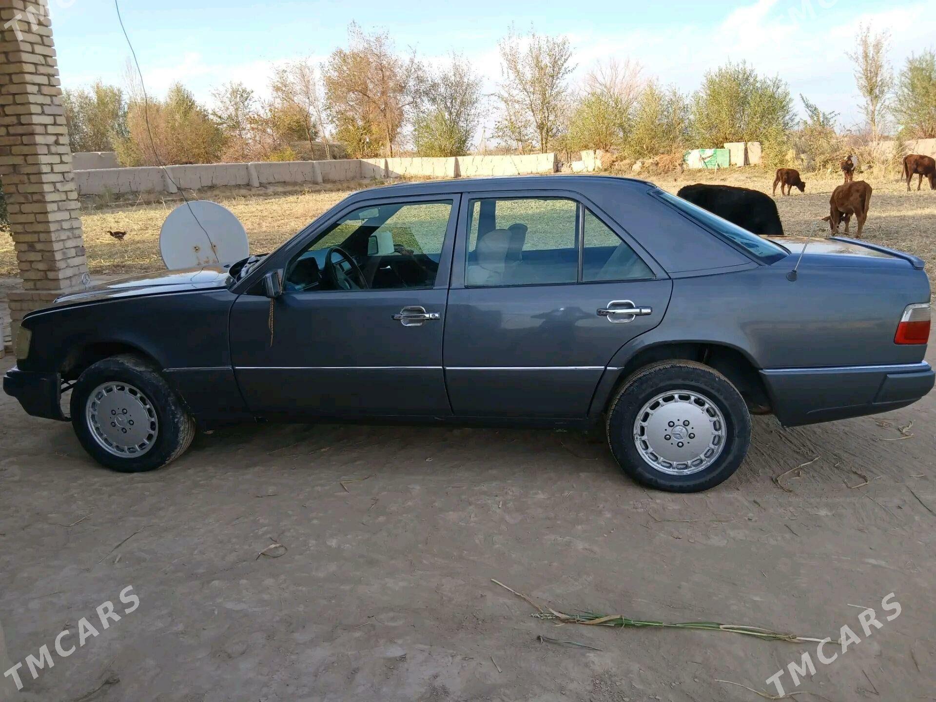 Mercedes-Benz 230E 1993 - 40 000 TMT - Akdepe - img 1