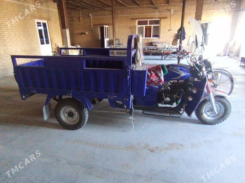 Fekon FK200-14G 2024 - 30 000 TMT - Фарап - img 8