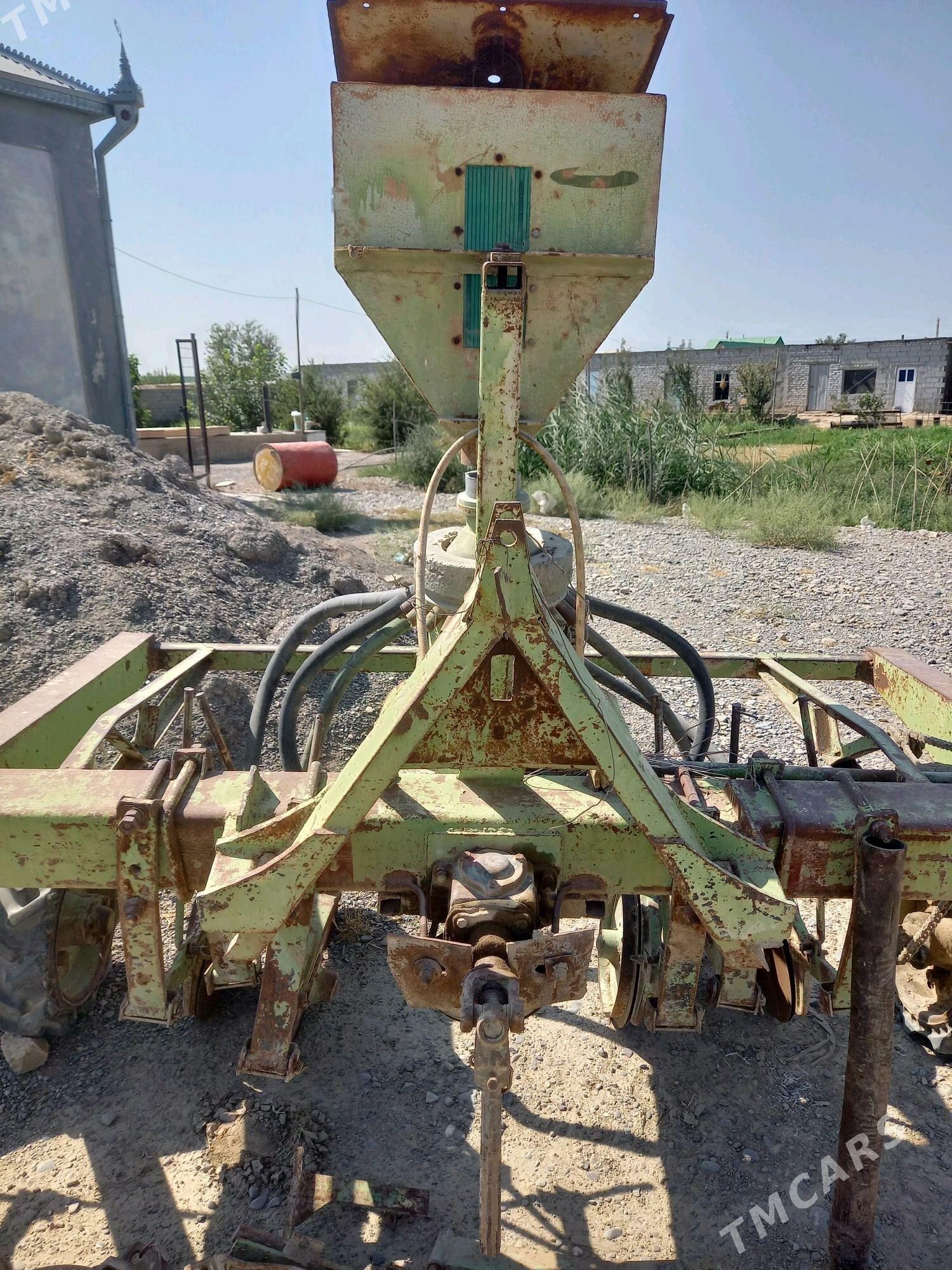 silka - Kaka - img 2