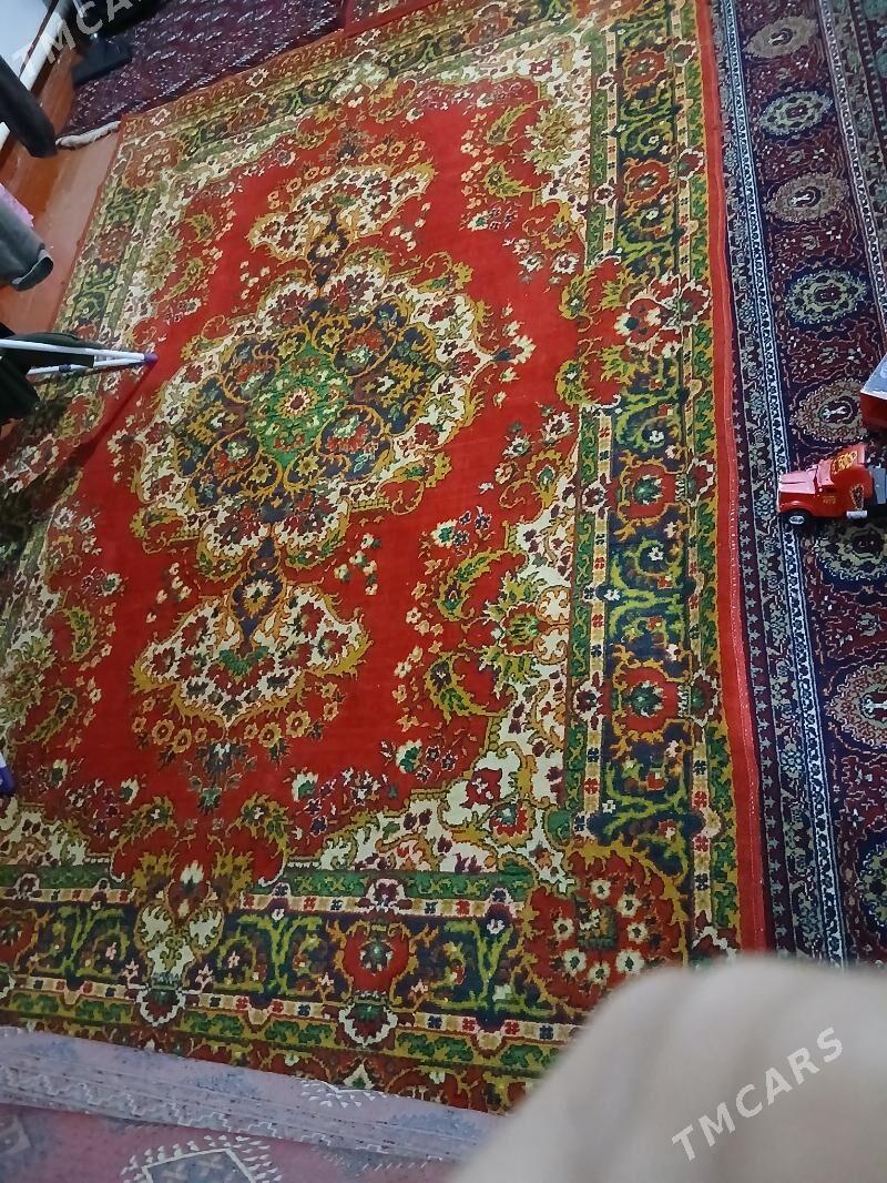 haly - Туркменбаши - img 1