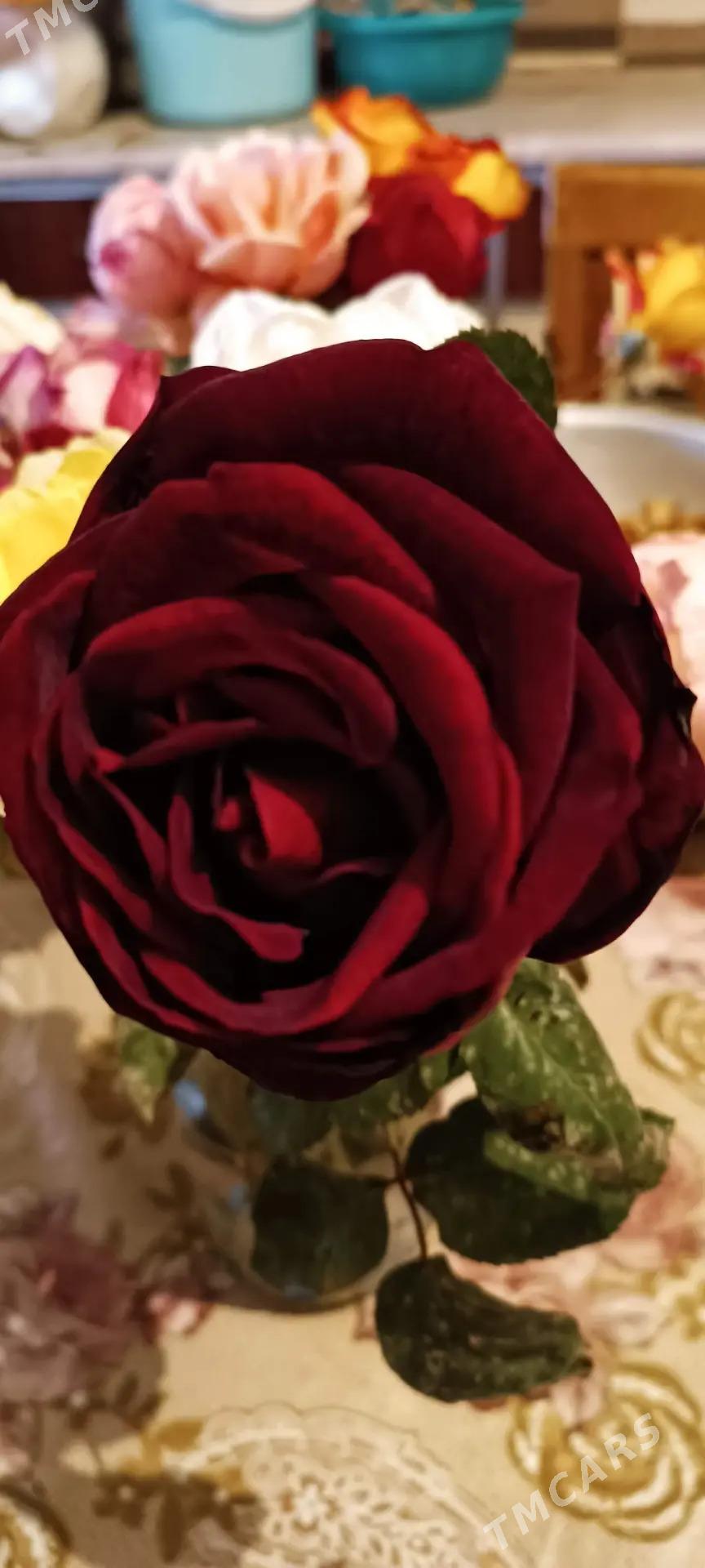 güller - Байрамали - img 1