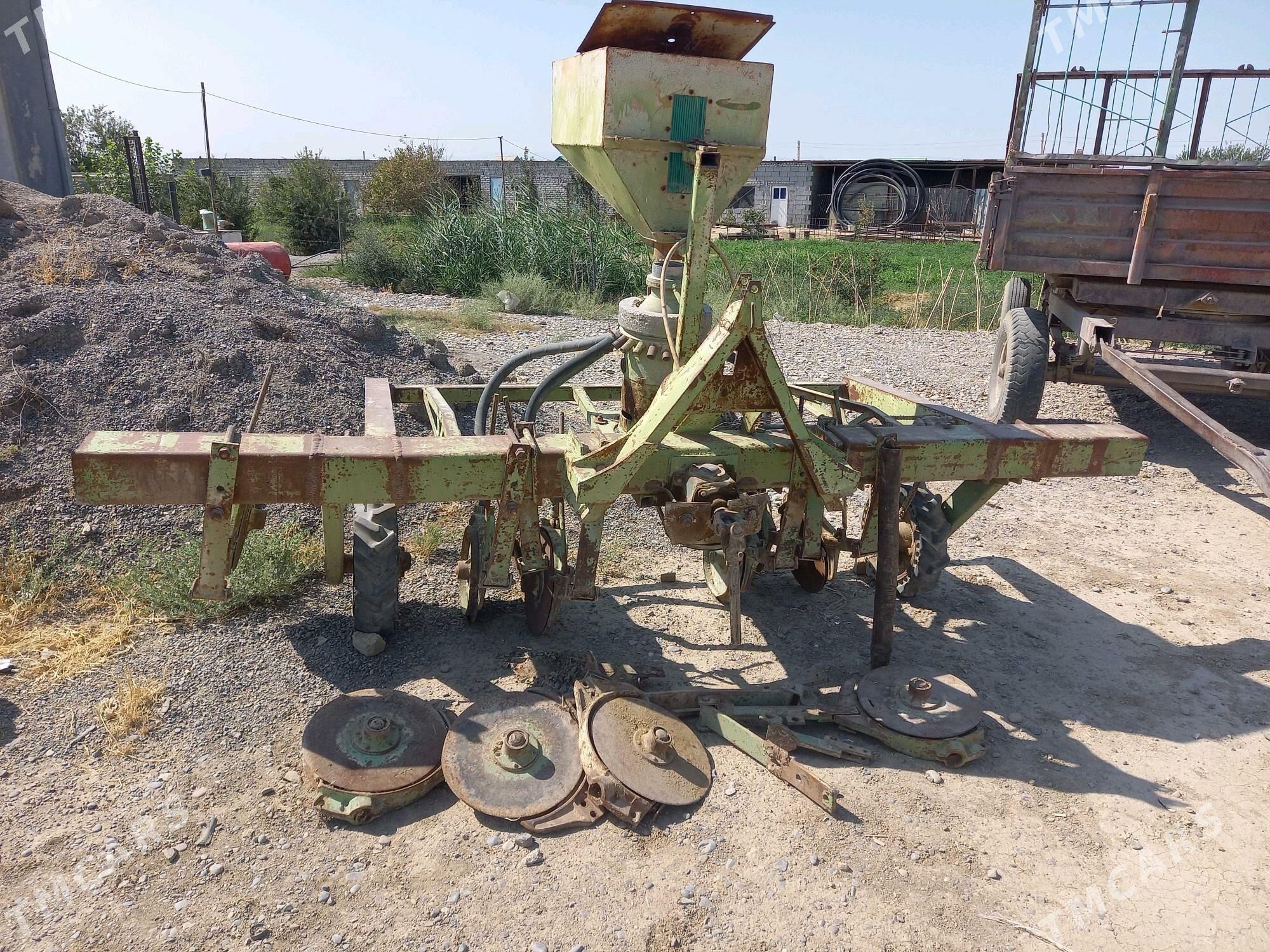 silka - Kaka - img 5