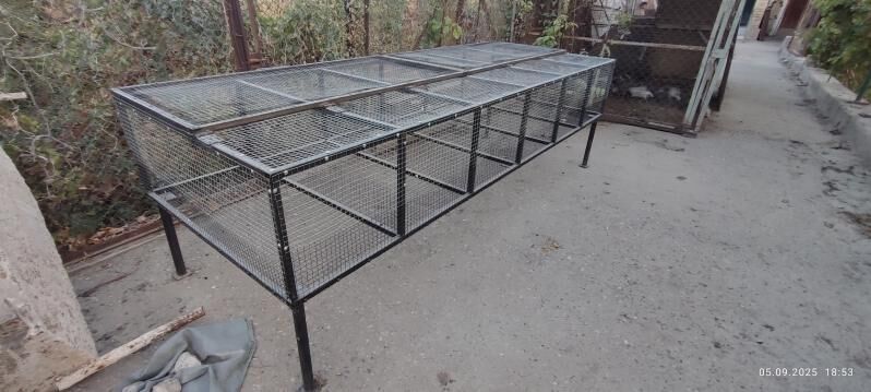 towsan ketek - Чарджоу - img 5