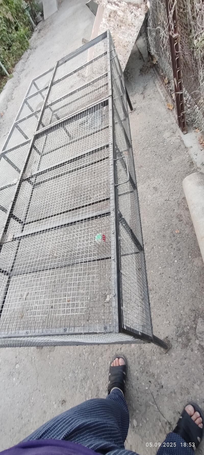 towsan ketek - Чарджоу - img 6