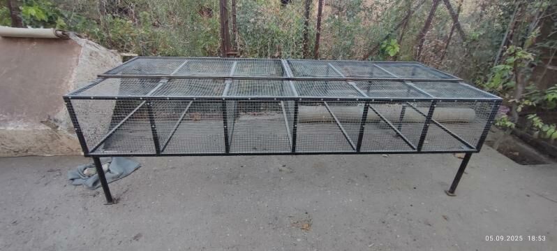 towsan ketek - Чарджоу - img 4