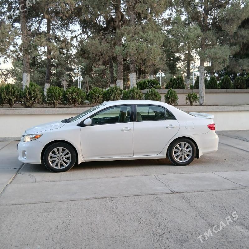 Toyota Corolla 2011 - 159 000 TMT - Gökdepe - img 8
