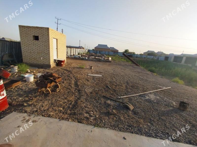 jay - Sakarçäge - img 1