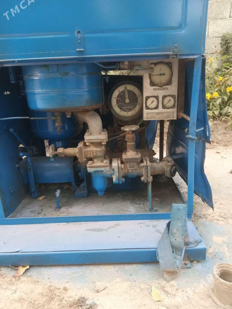 Diwiźok - Kaka - img 6