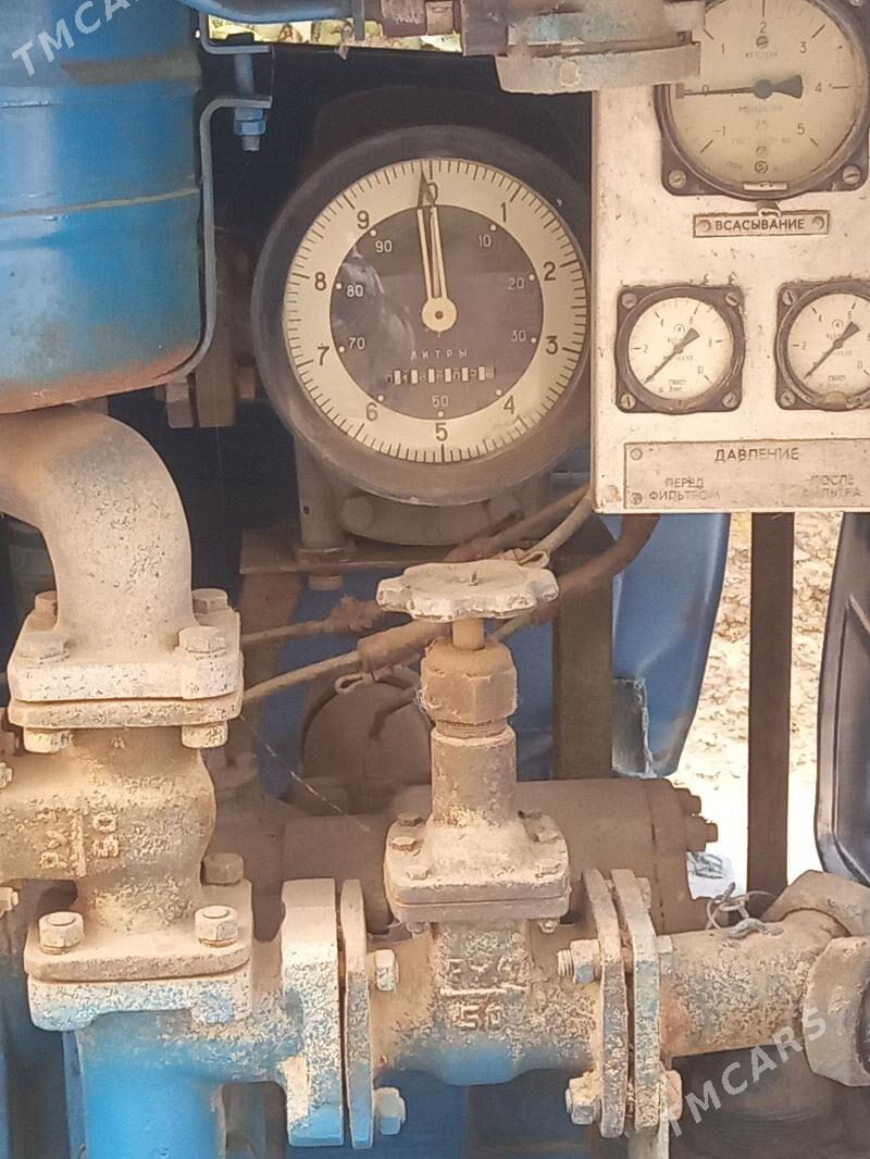 Diwiźok - Kaka - img 5