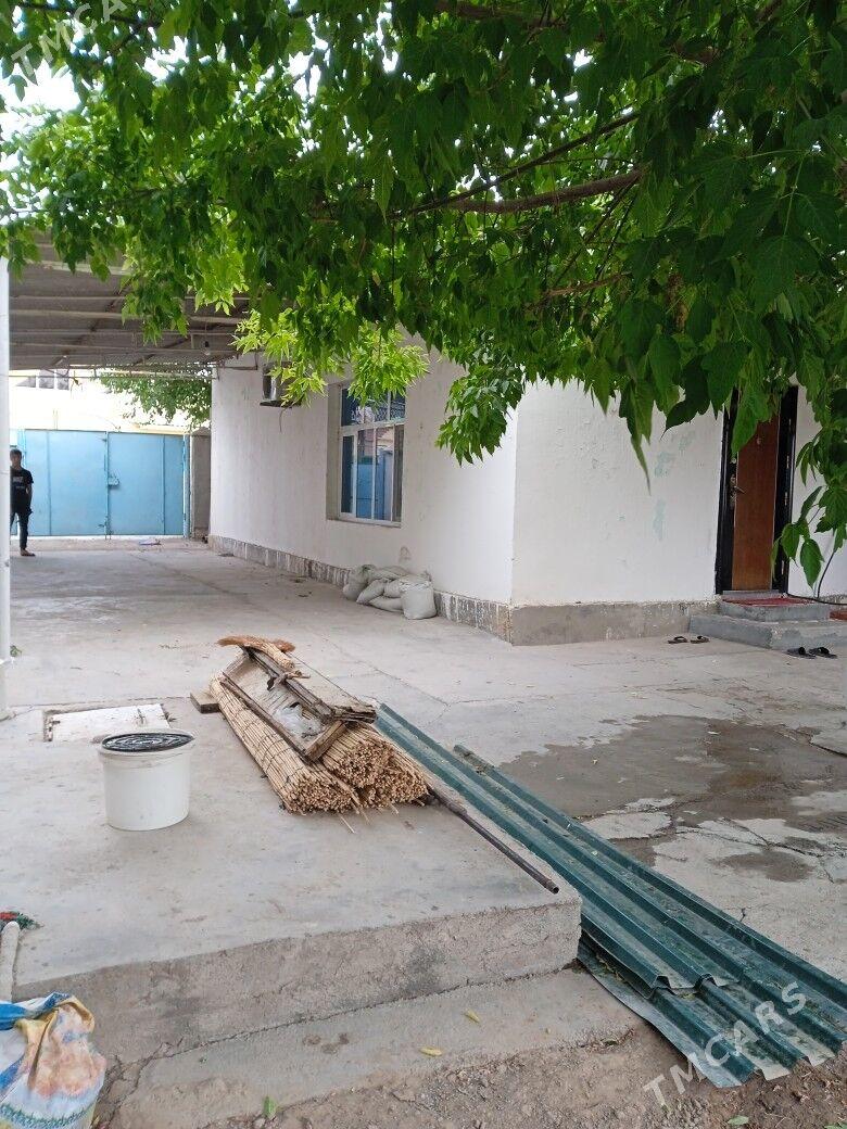 Änew satlyk jaý - Änew - img 1