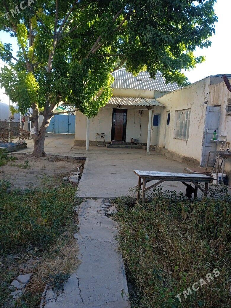 Änew satlyk jaý - Änew - img 8