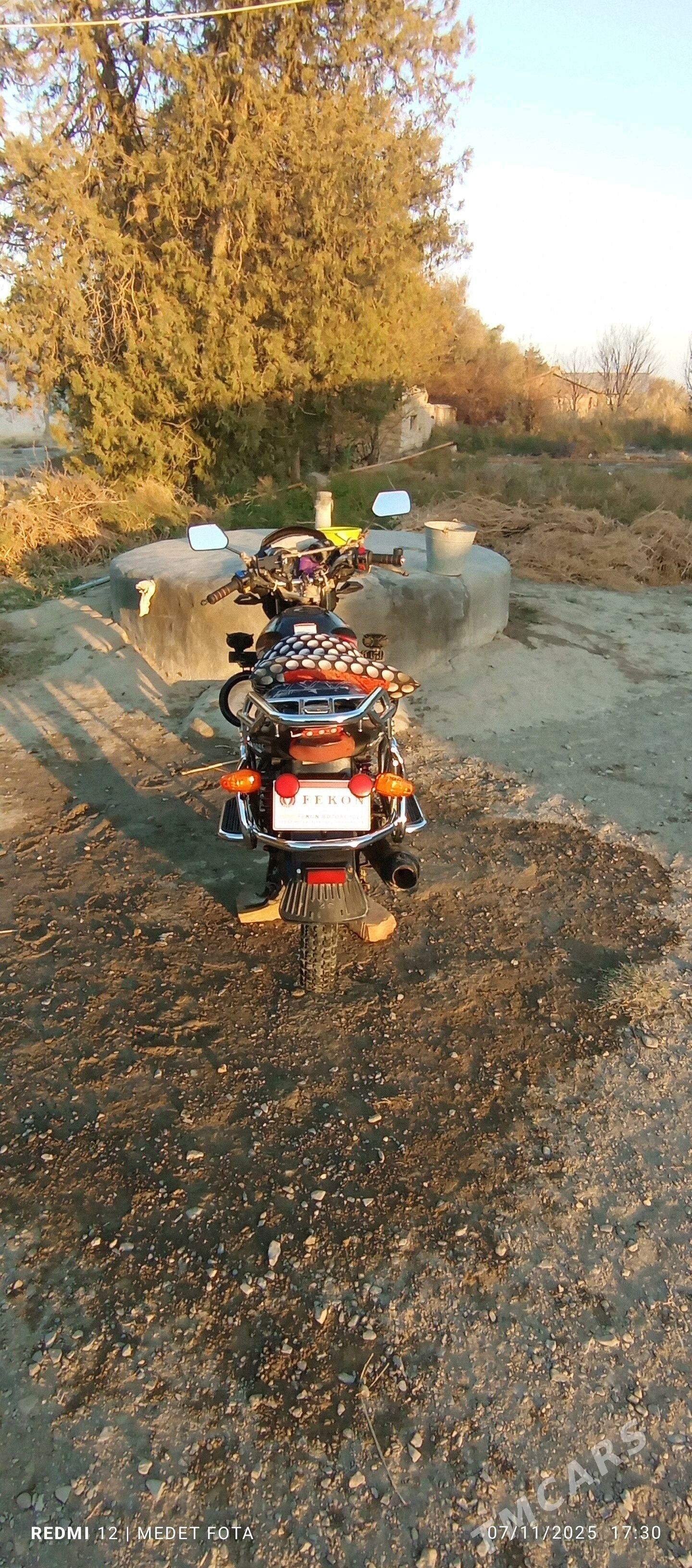 Fekon FK150-8G 2024 - 15 000 TMT - Bäherden - img 3