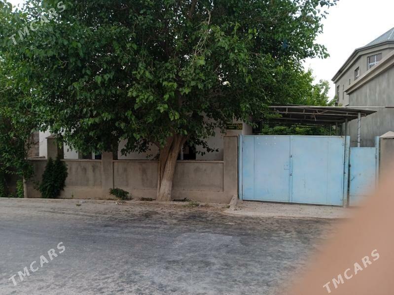 Änew satlyk jaý - Änew - img 9