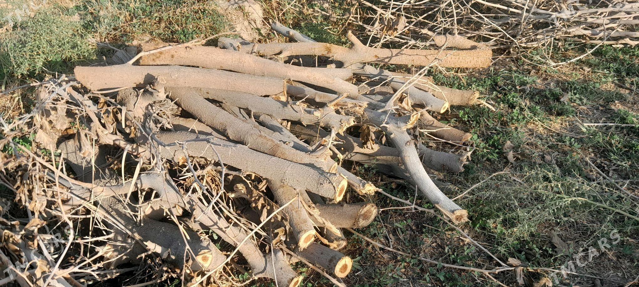 Töññe - Векильбазар - img 1