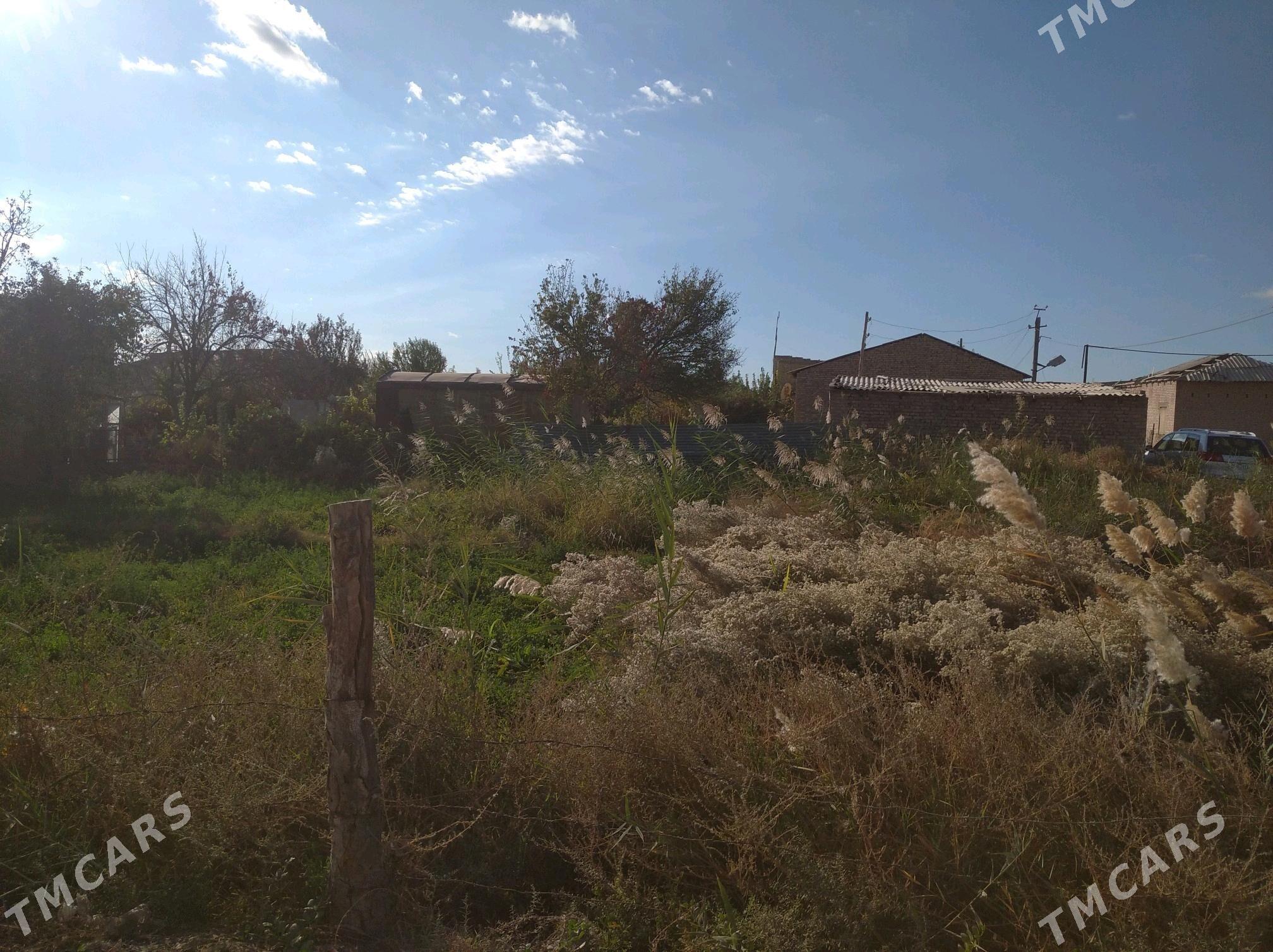 Satlyk - Туркменабат - img 6