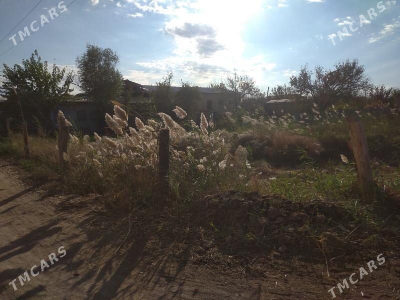 Satlyk - Туркменабат - img 5