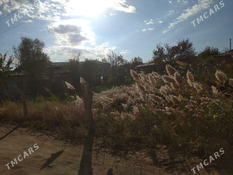 Satlyk - Туркменабат - img 4