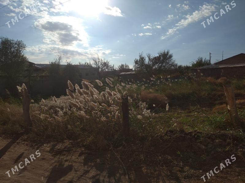 Satlyk - Туркменабат - img 2