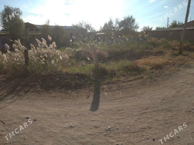 Satlyk - Туркменабат - img 1