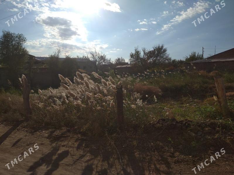 Satlyk - Туркменабат - img 3