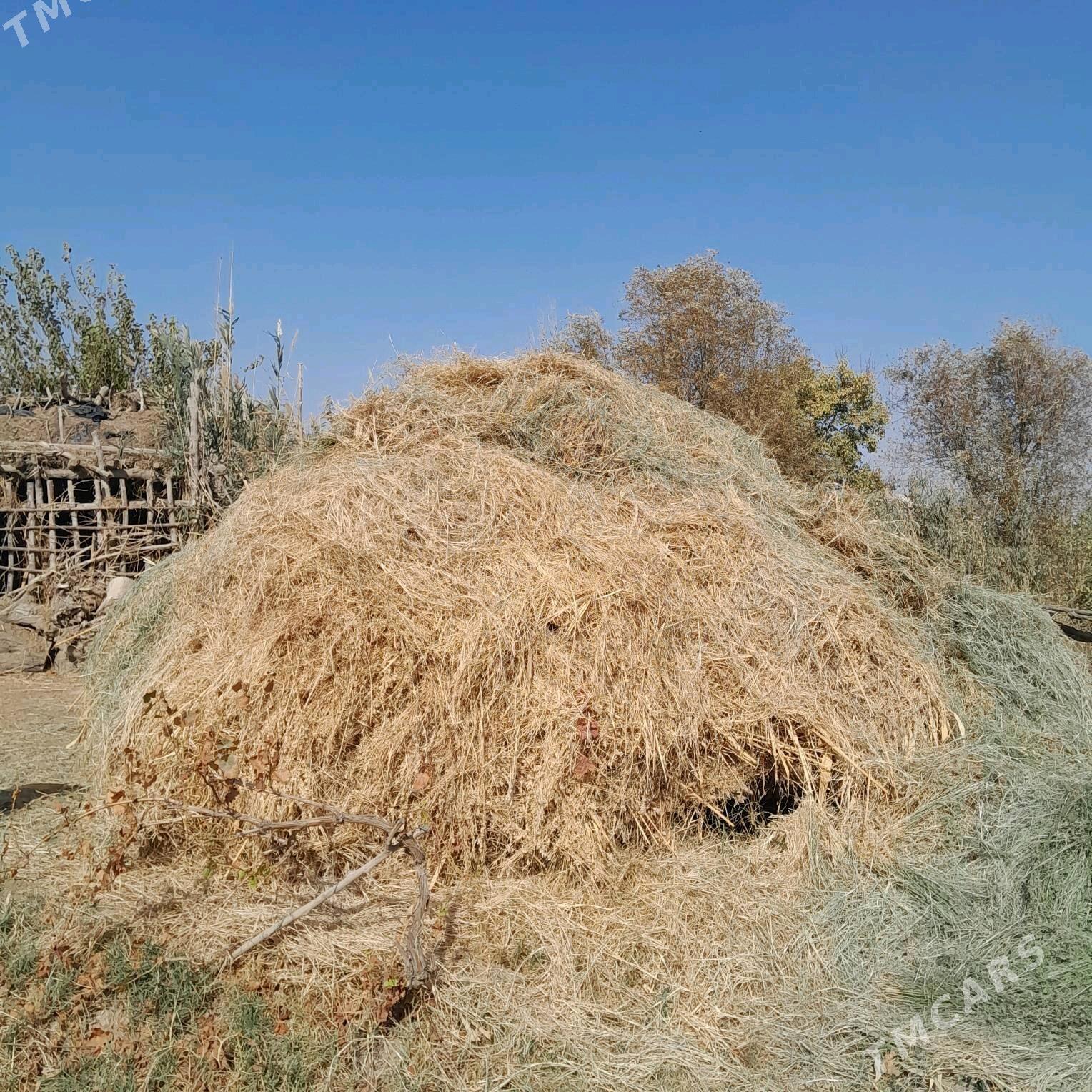 ot - Байрамали - img 3