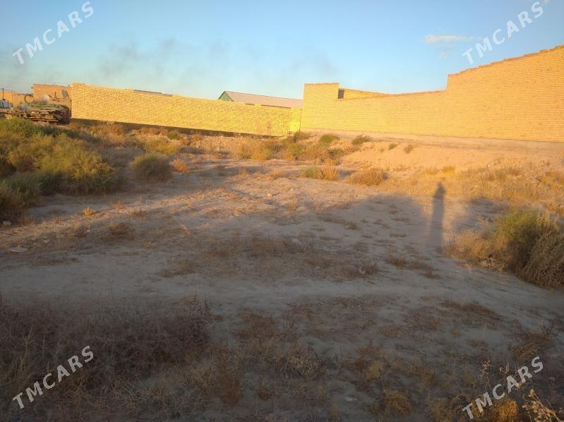 Satlyk - Туркменабат - img 4