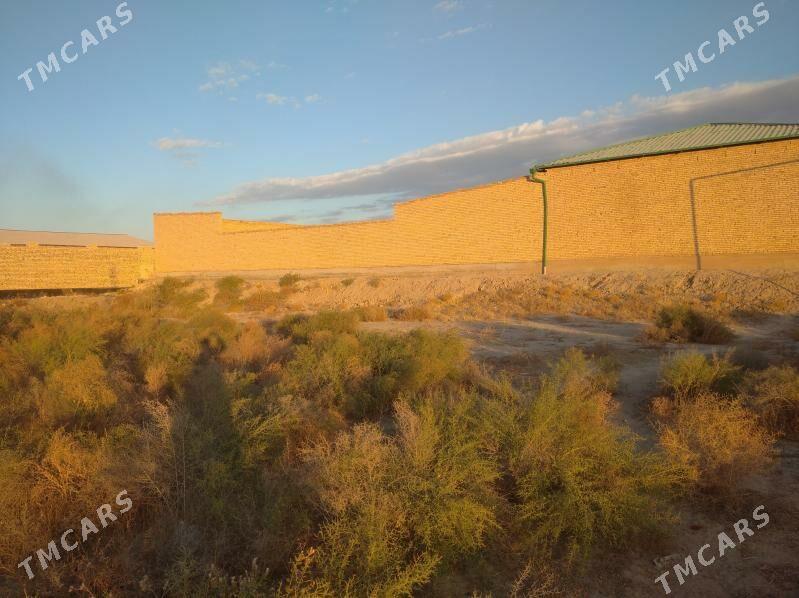 Satlyk - Туркменабат - img 2