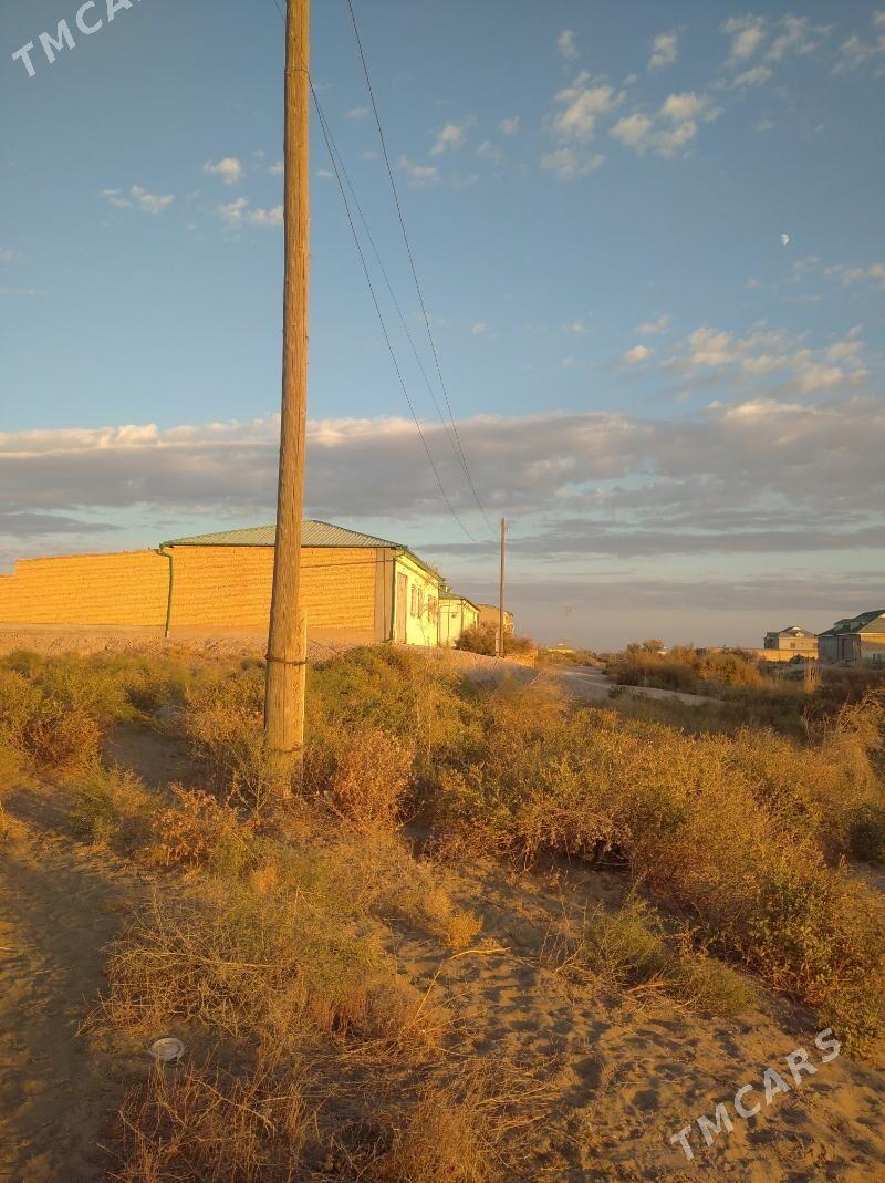 Satlyk - Туркменабат - img 1