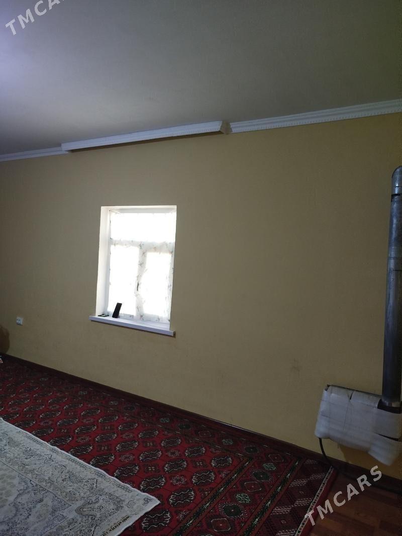 Tarhanly jay - Büzmeýin - img 3