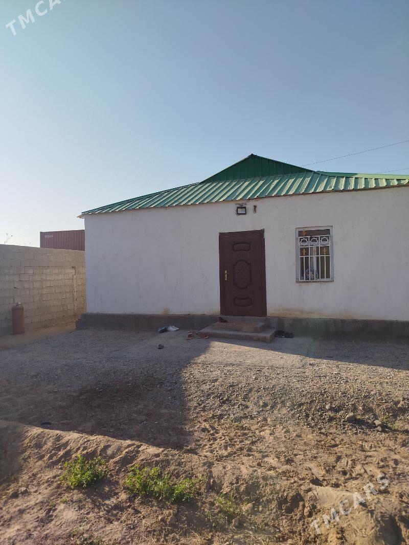 Tarhanly jay - Büzmeýin - img 1