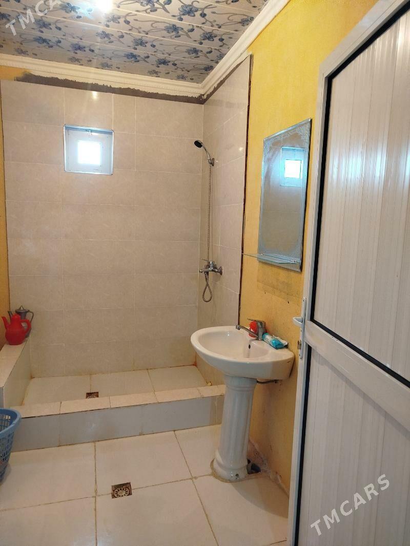 Tarhanly jay - Büzmeýin - img 5