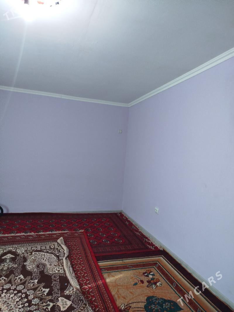 Tarhanly jay - Büzmeýin - img 2