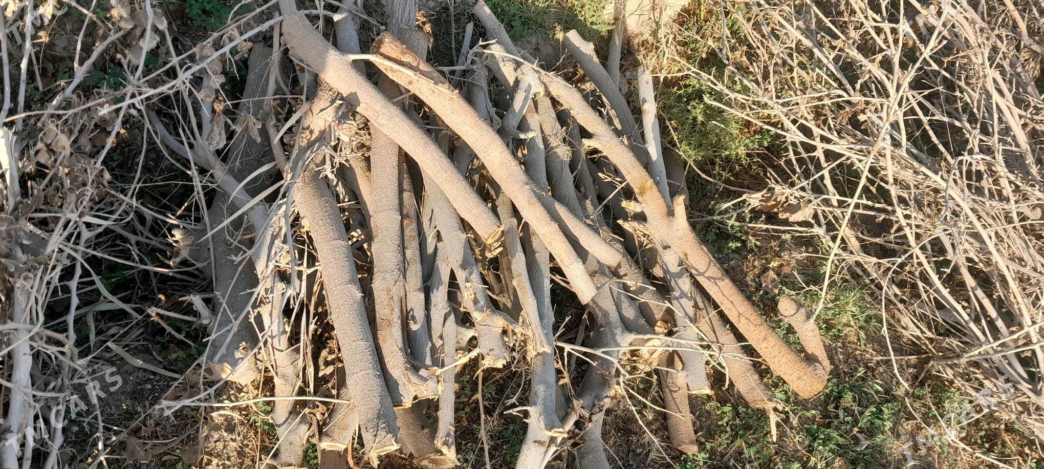 Töññe - Векильбазар - img 2